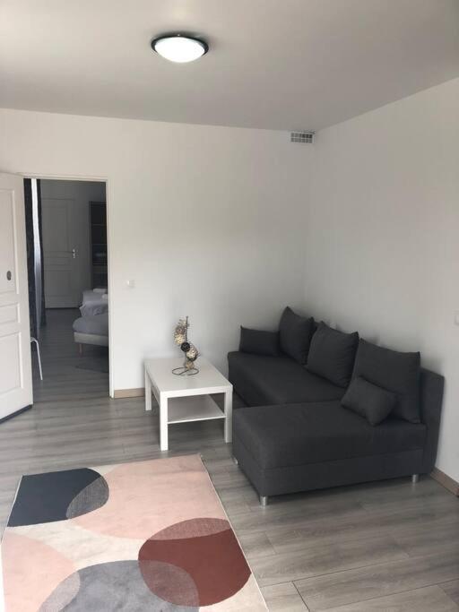 שסי Top Appartement 10 Minutes De Disney מראה חיצוני תמונה